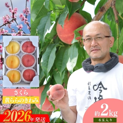 吟壌桃「さくら&黄ららのきわみ」約2kg【2026年発送】No.1523
