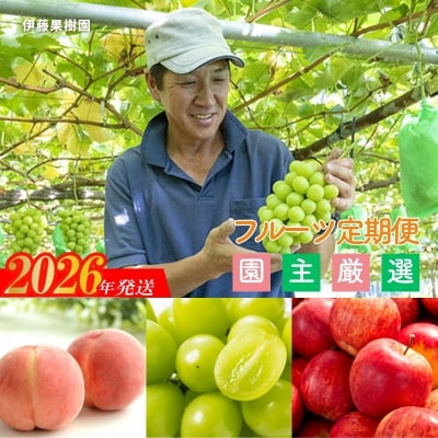  伊藤果樹園のフルーツ3種定期便【2026年発送　先行受付】No.2495