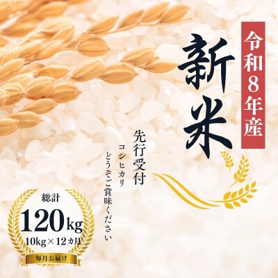 【令和8年産 新米】大文字屋米穀店【定期便12回】コシヒカリ 10kg 精米 No.2497