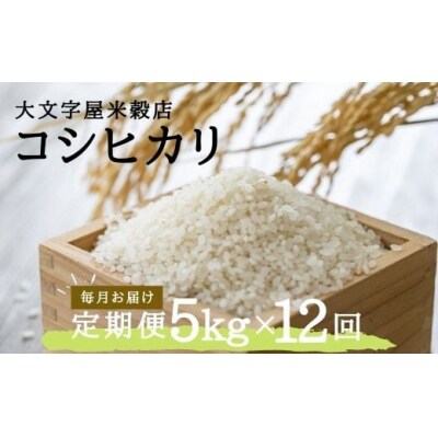 【定期便12回】コシヒカリ 5kg 精米(毎月お届け)No.2498