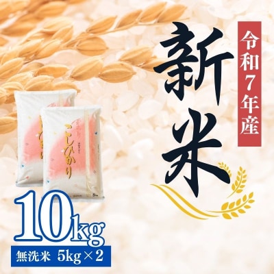 大文字屋米穀店【令和7年産新米 先行受付】コシヒカリ精米(無洗米)1等米 10kgNo.2499