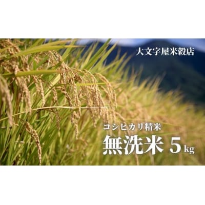 コシヒカリ精米(無洗米)1等米 5kgNo.2500