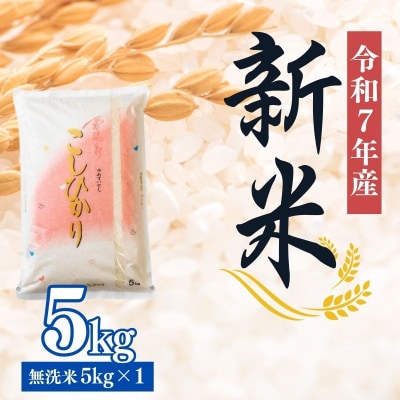 大文字屋米穀店【令和7年産新米 先行受付】コシヒカリ精米(無洗米)1等米 5kgNo.2500