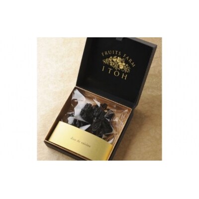 duo de raisins(巨峰の枝付き干しぶどう)No.2507