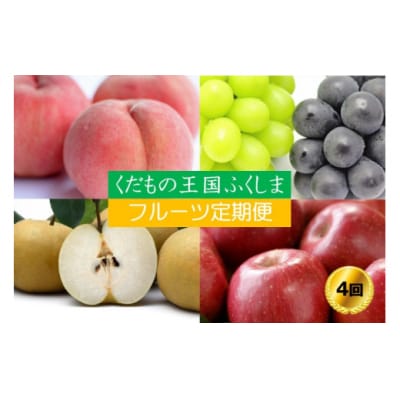 【2023年発送分】フルーツ4種定期便No.2537