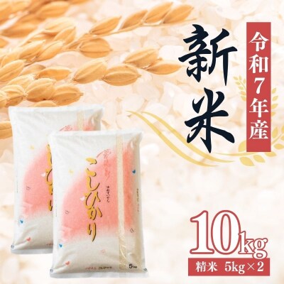 大文字屋米穀店【令和7年産新米 先行受付】コシヒカリ精米 10kg(5kg×2)No.2381