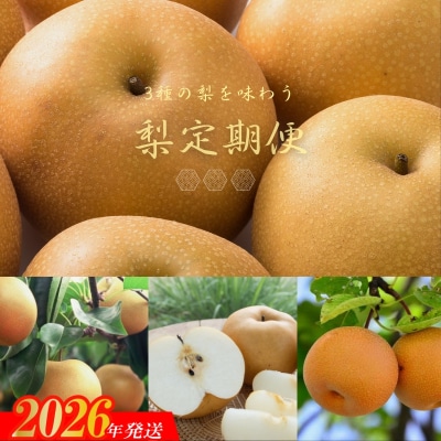 梨の3品種定期便【2026年発送　先行受付】No.2535
