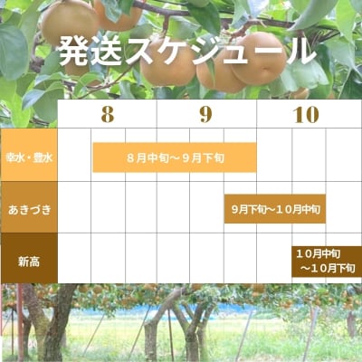 厳選!福島の梨3回定期便_ED-1【2027年発送】No.2535
