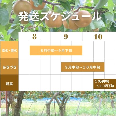 厳選!福島の梨3回定期便_ED-1【2027年発送】No.2535