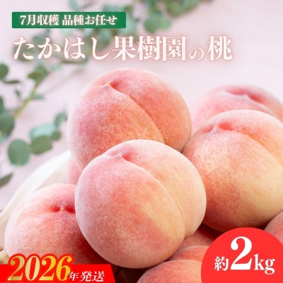 たかはし果樹園の桃　7月収穫約2kg【2026年発送 先行受付】No.2530