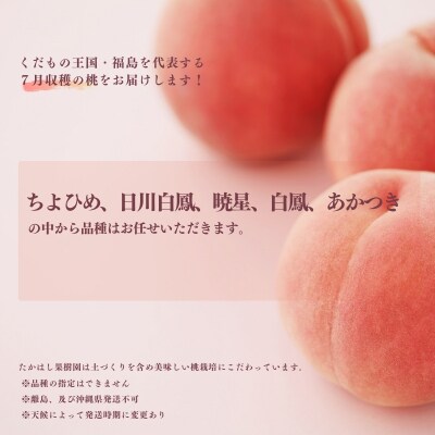 たかはし果樹園の桃　7月収穫約2kg【2026年発送 先行受付】No.2530