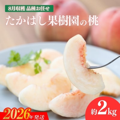 たかはし果樹園の桃　8月収穫約2kg【2026年発送 先行受付】No.2531