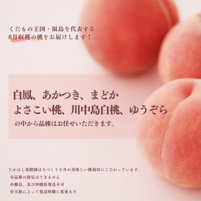 たかはし果樹園の桃　8月収穫約2kg【2026年発送 先行受付】No.2531