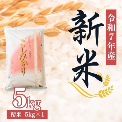 大文字屋米穀店【令和7年産新米 先行受付】コシヒカリ精米 5kgNo.2382
