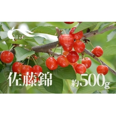 さくらんぼ(佐藤錦500g)【2025年発送】No.2335