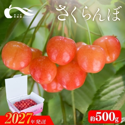 さくらんぼ(佐藤錦又は紅秀峰500g)【2027年発送 先行予約】No.2335