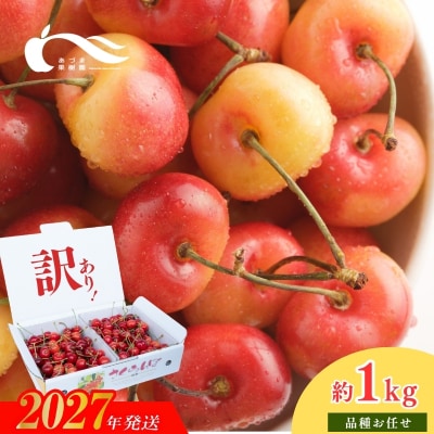 さくらんぼ佐藤錦又は紅秀峰1kgバラ詰め(S～L玉混合)【2027年発送 先行予約】No.2336