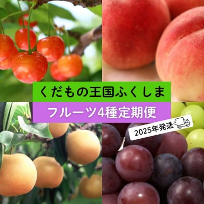 フルーツ4種 定期便 さくらんぼ 桃 梨 ぶどう【2025年 先行受付】No.2549