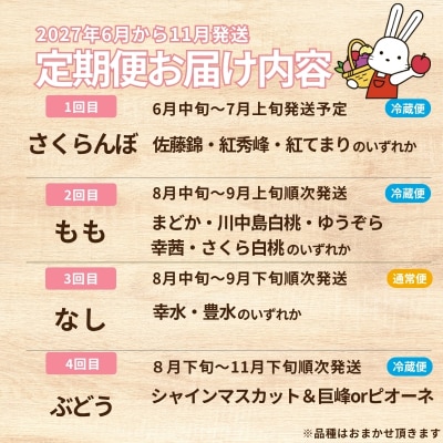 福島のフルーツ4種定期便(さくらんぼ・もも・梨・ぶどう)【2027年発送】No.2549