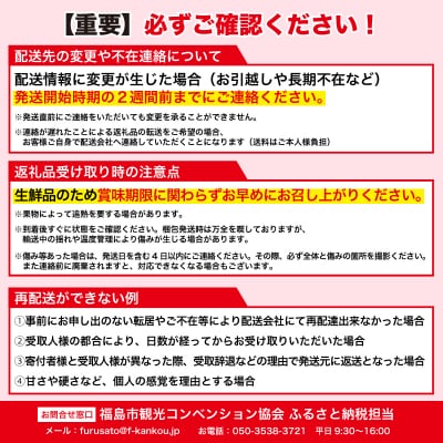 フルーツ4種 定期便 さくらんぼ 桃 梨 ぶどう【2025年 先行受付】No.2549