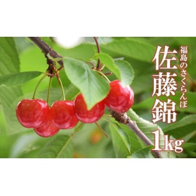 くるま農園　さくらんぼ「佐藤錦」1kgバラ詰め【2025年発送】No.2505