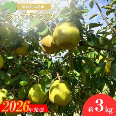 ヤマ考紺野果樹園 ラフランス約3kg【2026年発送　先行受付】No.2232