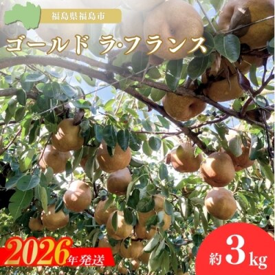 ヤマ考紺野果樹園 ゴールド ラフランス 約3kg【2026年発送　先行受付】No.2233