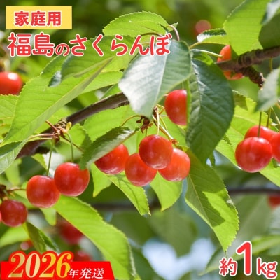 【ご家庭用】さくらんぼ 品種お任せ 約1kg(バラ詰小粒)【2026年発送　先行受付】No.2575