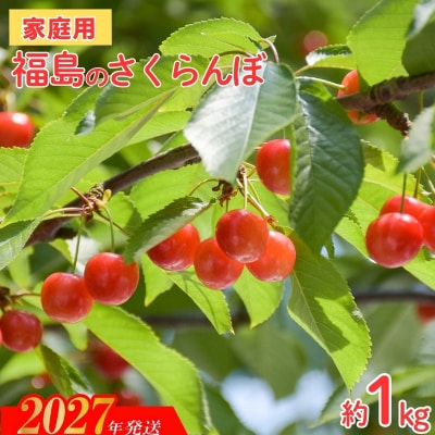 【ご家庭用】福島のさくらんぼ 品種お任せ 約1kg(バラ詰、小粒)【2027年発送】No.2575
