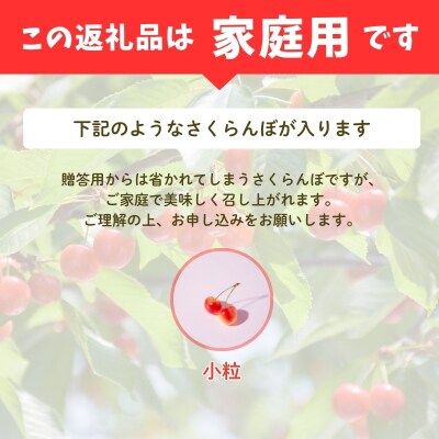 【ご家庭用】福島のさくらんぼ 品種お任せ 約1kg(バラ詰、小粒)【2027年発送】No.2575