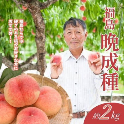 福島 桃　晩成種約2kg【2026年発送 先行受付】No.2407