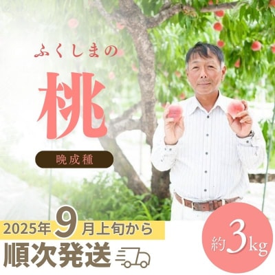 福島 桃　晩成種約3kg【2025年発送】No.2408