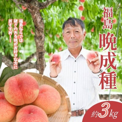 福島 桃　晩成種約3kg【2026年発送 先行受付】No.2408