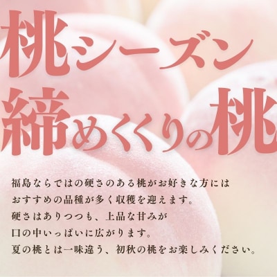 福島 桃　晩成種約3kg【2026年発送 先行受付】No.2408