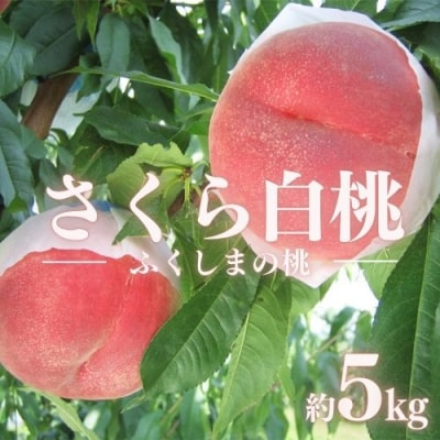  もも　特秀「さくら白桃」約5kg【2025年発送】No.2516