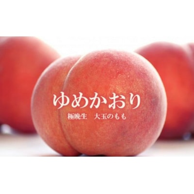 もも ゆめかおり 約3kg【2025年発送】No.2578