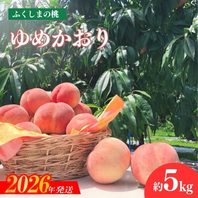 もも ゆめかおり 約5kg【2026年発送　先行受付】No.2579