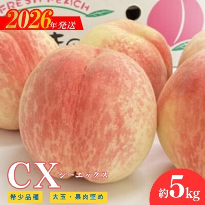 希少品種CX/シ-エックス 約5kg【2026年発送　先行受付】No.2581