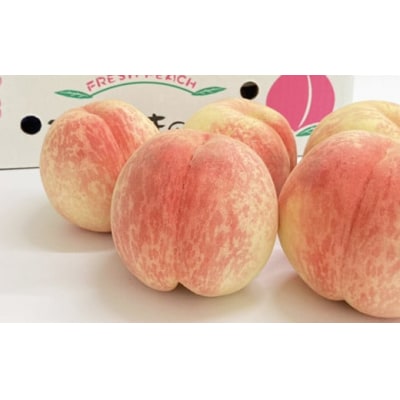 希少品種CX/シ-エックス 約5kg【2025年発送】No.2581