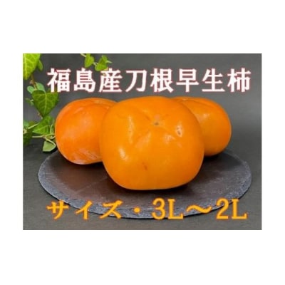 刀根早生柿(種ナシ)約7kg【2025年発送】No.2582