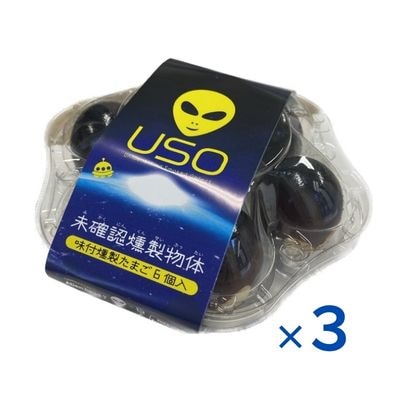 未確認燻製物体 USO(味付燻製たまご)No.2586