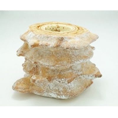 SONNE(ソネ)No.2604