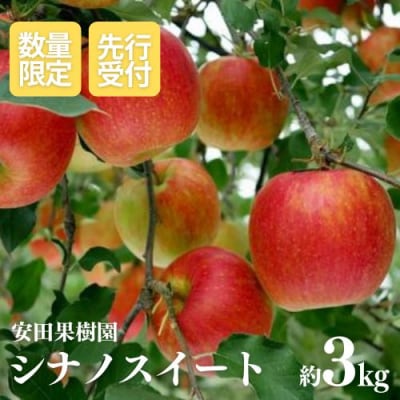 りんご シナノスイート 約3kg【2025年度発送】 No.2605