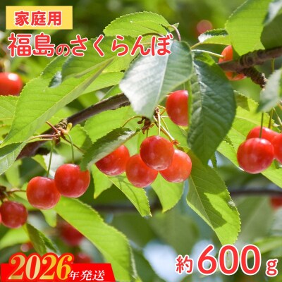 【ご家庭用】さくらんぼ 品種お任せ 小粒　約600g【2026年発送　先行受付】No.2635