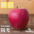 りんご　陽光　約3kg【2025年度発送】 No.2606