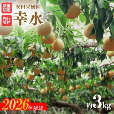 梨　幸水　約3kg【2026年発送 先行受付】No.2607