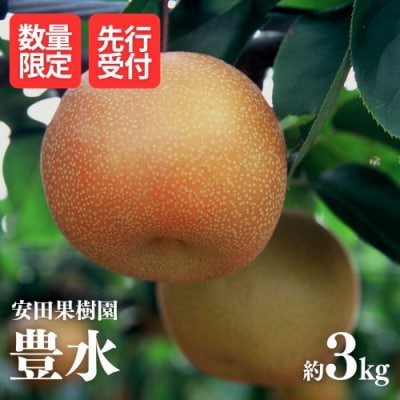 梨　豊水　約3kg【2025年発送】No.2608