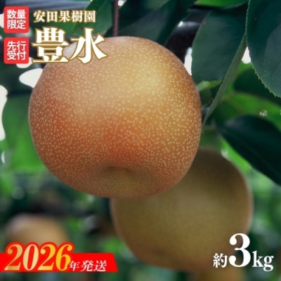 梨　豊水　約3kg【2026年発送 先行受付】No.2608