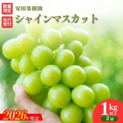 ぶどう シャインマスカット1kg以上【2026年発送 先行受付】No.2609