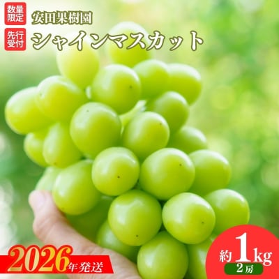 ぶどう　シャインマスカット 約1kg【2026年発送 先行受付】No.2609